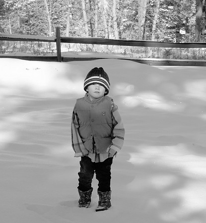 DSC_4007BW